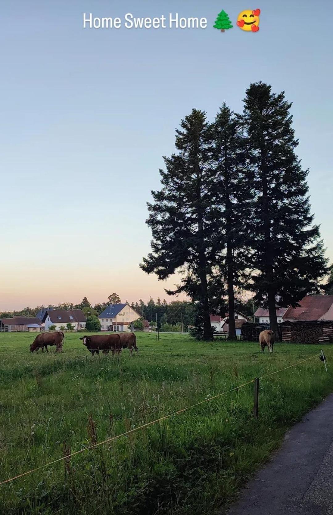 Chickenhill Blackforest, Großhans Bad Wildbad