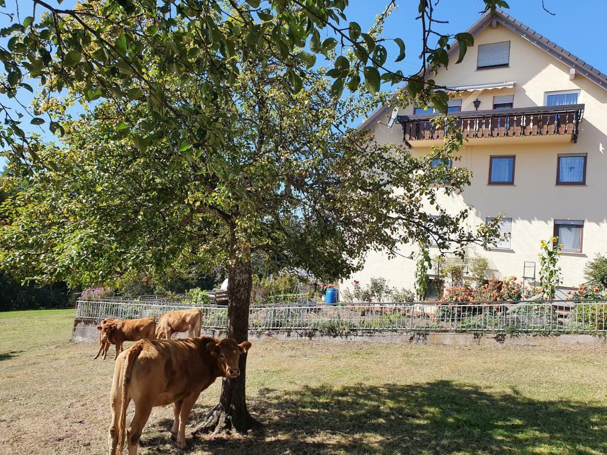 Chickenhill Blackforest, Grosse Im Schwarzwald Appartement Bad Wildbad